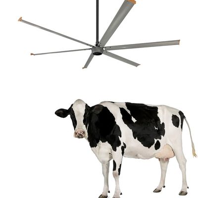 건설 현장의 천장 팬 환기 3.6m 높은 부피 1500W 220V 10ft HVLS 팬