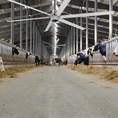 조용한 1.5kW 24FT 고속 HVLS PMSM 모터와 함께 큰 산업용 전기 천장 팬