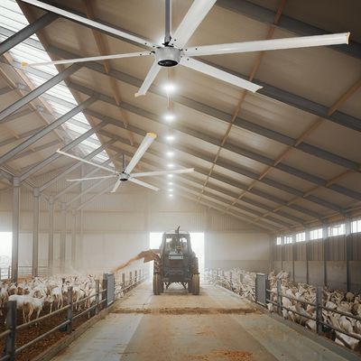 조용한 1.5kW 24FT 고속 HVLS PMSM 모터와 함께 큰 산업용 전기 천장 팬