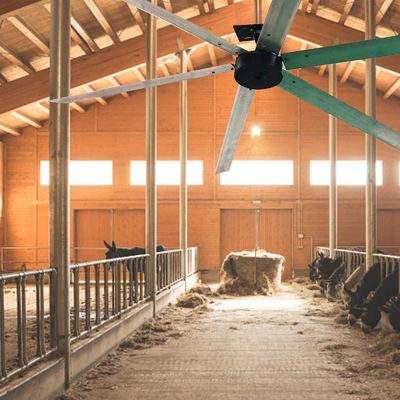 조용하고 강력한 24ft 1500W BLDC 냉각 팬 모터 산업 HVLS 천장 팬