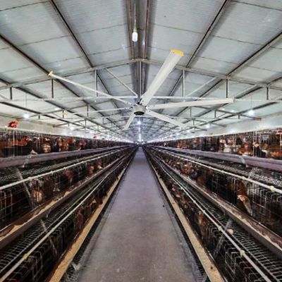 효율 IE 1 12ft 10ft 16ft 14ft 1500W 1100W 750W BLDC 산업 HVLS 천장 팬 모터
