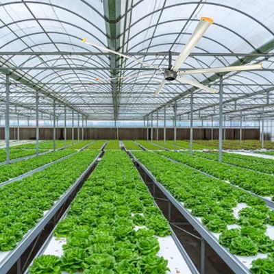 HVLS 창고 온도 조절용 220V/380V 18ft 1500W 산업 천장 팬