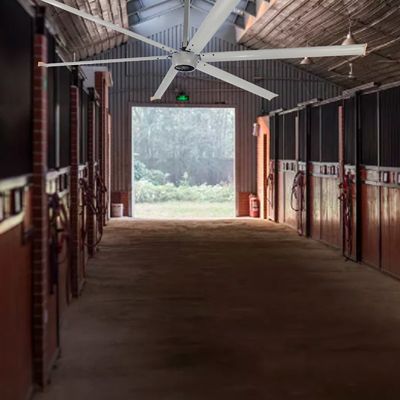 식품 음료점 HVLS 5 블레이드 산업 천장 팬 AMCLING의 맞춤형 지원